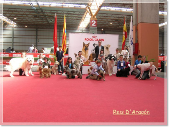 XXXII International Dog Show of Zaragoza 2012