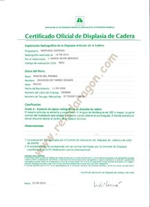 Official certificate of hip dysplasia Zacarías Do Tarreo Grande
