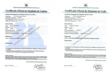 Health certificates of Olson de Reis D'Aragón
