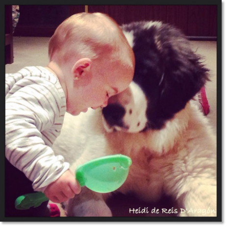 Pyrenean Mastiffs from Reis D'Aragón with kids