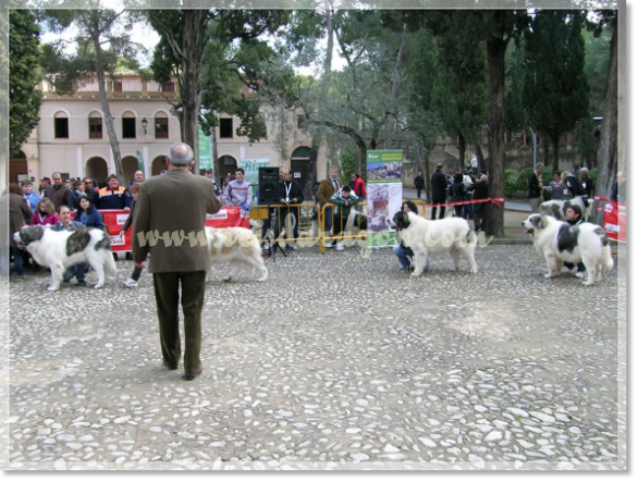 32ª SPECIALTY PYRENEAN MASTIFF DOG SHOW CMPE