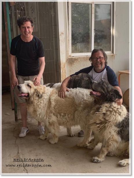 Gabino Diego visits our Pyrenean mastiffs Gabino Diego visits our Pyrenean mastiffs