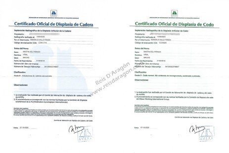 Viñal de Reis D'Aragón health certificates Viñal de Reis D'Aragón health certificates
