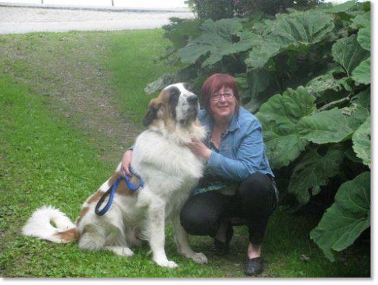 Testimonials of the families of our puppies Pyrenean Mastiff