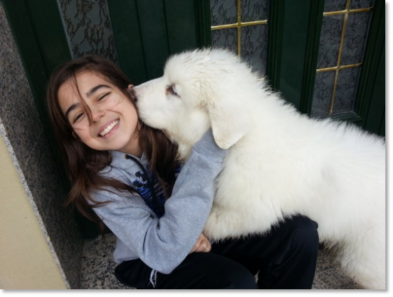 Testimonials of the families of our puppies Pyrenean Mastiff