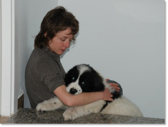 Testimonials of the families of our puppies Pyrenean Mastiff