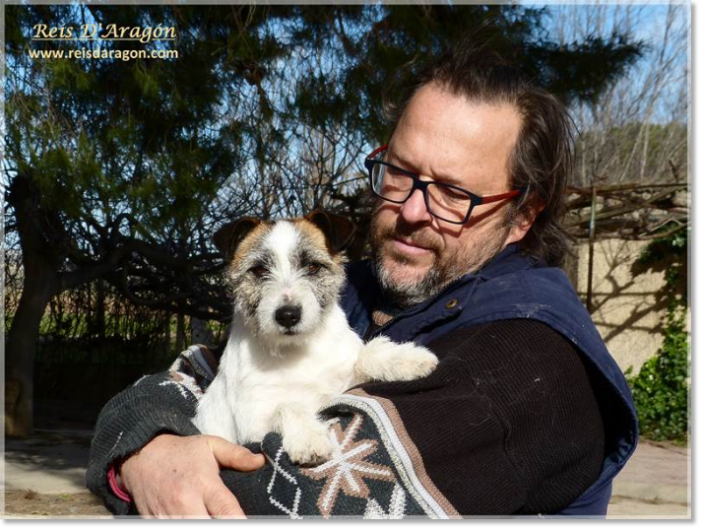 Jack Russell Terrier breeder Reis D'Aragón