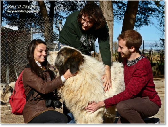 Collaboration with students of the Faculty of Veterinary Medicine of Zaragoza