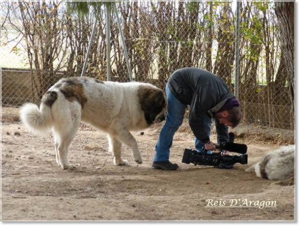 Barbastro helping in the recording to La Madriguera from Aragón TV