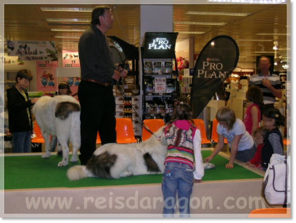 Septembre 2010. Conférence sur le mâtin des Pyrénées à El Corte Inglés