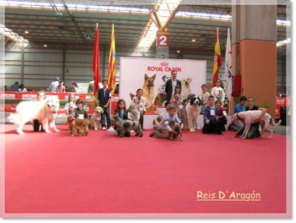 XXXII EXPOSITION INTERNATIONALE CANINE DE SARAGOSSE