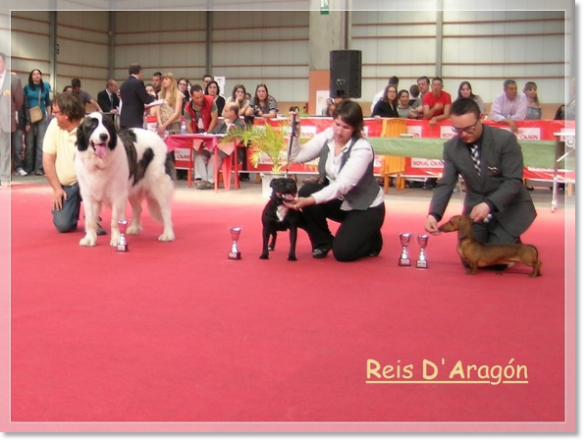 Remise du trophée à Giuditta Champion d'Aragon