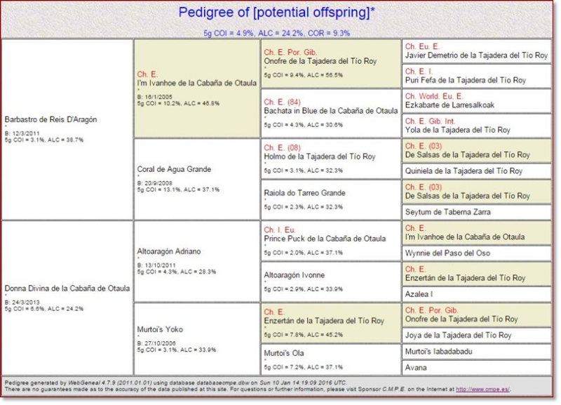 Pedigree des chiots mâtin des Pyrénées