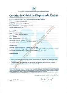 Certificat officiel de dysplasie de la hanche de Coral de Agua Grande