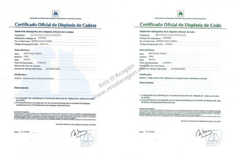 Certificats de santé de Viñal de Reis D'Aragón