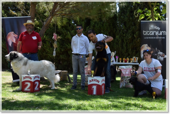 I Concurso Nacional Canino Finca Claro de Luna. Osia de Reis D'Aragón 2e Meilleur de Groupe