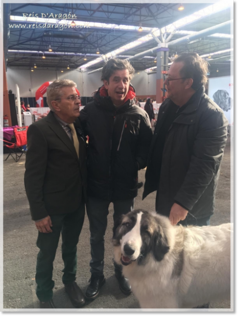 Gabino Diego à l'exposition canine de Saragosse