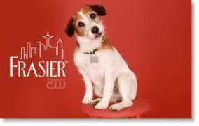 Origine et histoire de la race Jack Russell Terrier