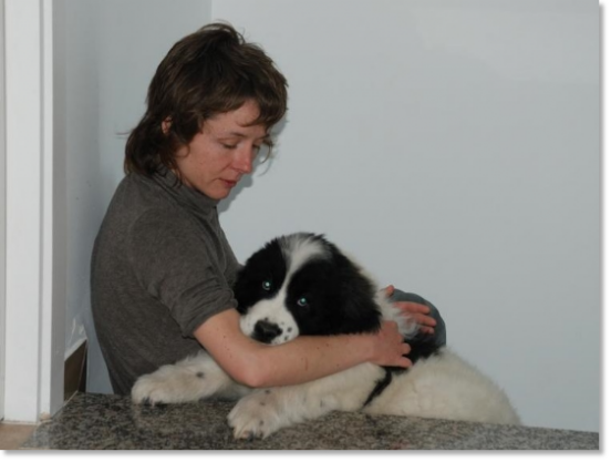 Les témoignages des familles de nos chiots Mâtin des Pyrénées