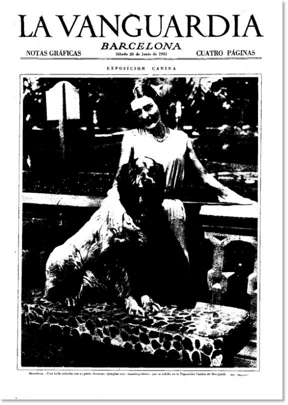 Exposition canine 1931 Mâtin des Pyrénées.