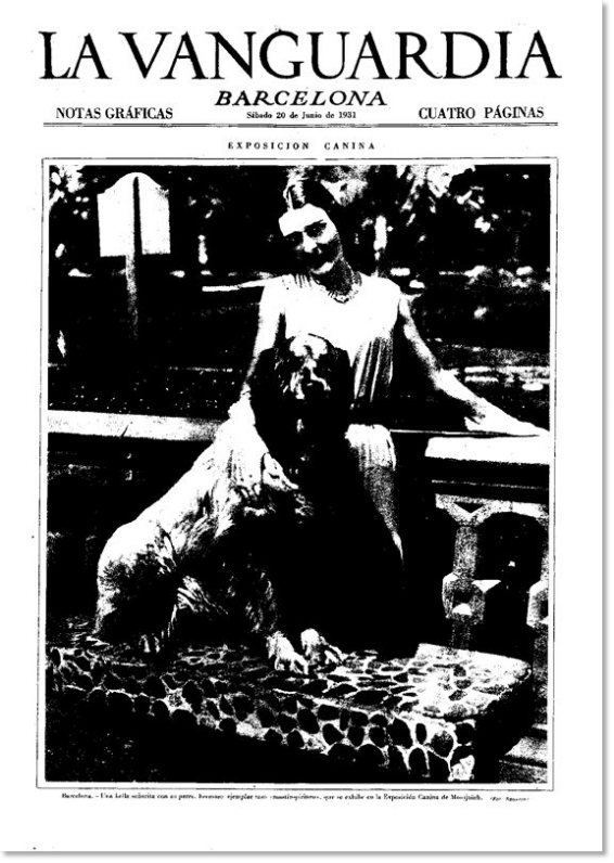 Exposition canine 1931 Mâtin des Pyrénées. Exposition canine 1931 Mâtin des Pyrénées.