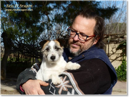 Jack Russell Terrier à Reis D'Aragón