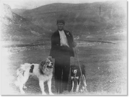 Histoire de la race mâtin des Pyrénées Histoire de la race mâtin des Pyrénées