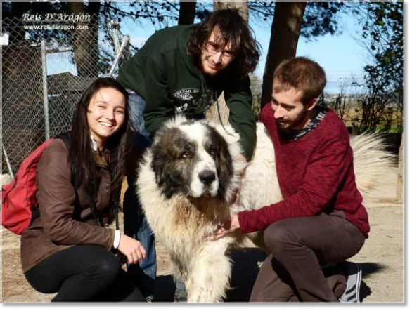 Collaboration avec des étudiants de la faculté de médecine vétérinaire de Saragosse