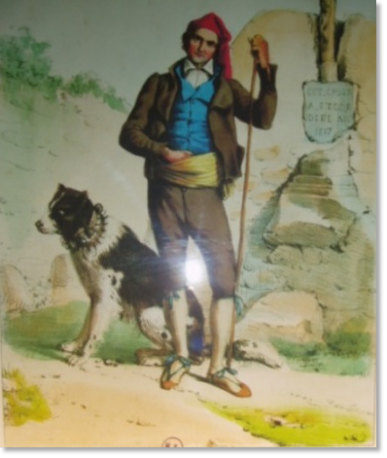 Histoire des mâtins des Pyrénées Histoire des mâtins des Pyrénées