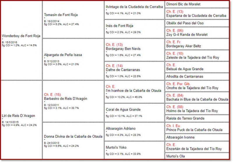 Pedigree des chiots