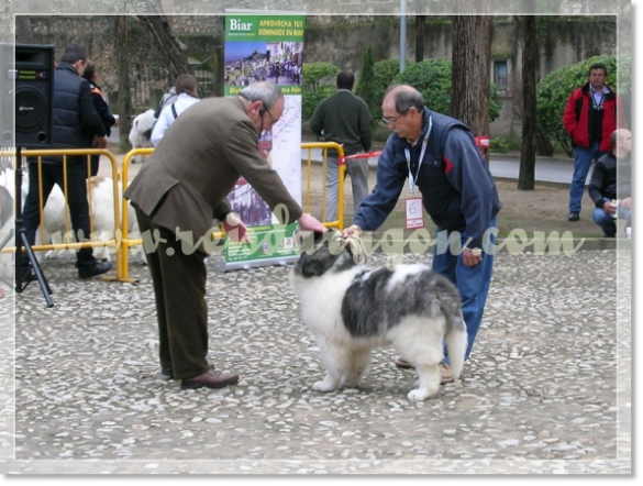 32ª MONOGRÁFICA DEL MASTÍN DEL PIRINEO CMPE