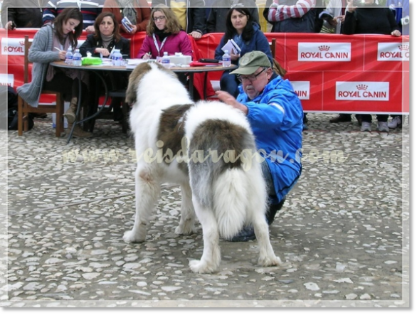 32ª MONOGRÁFICA DEL MASTÍN DEL PIRINEO CMPE