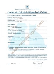 Certificado ausencia displasia Coral de Agua Grande Certificado Oficial de Displasia de Cadera de Coral de Agua Grande