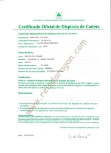 Certificado ausencia displasia Zacarías Do Tarreo Grande Certificado Oficial de Displasia de Cadera de Zacarías Do Tarreo Grande