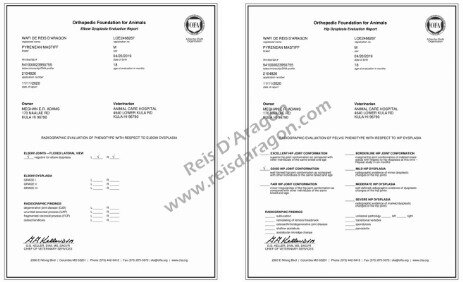 Certificados de salud de Wafi de Reis D'Aragón