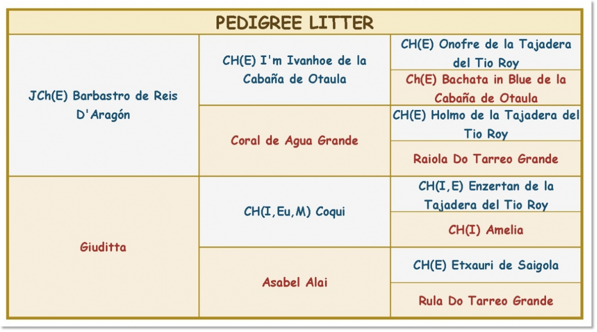 Pedigri de los cachorros