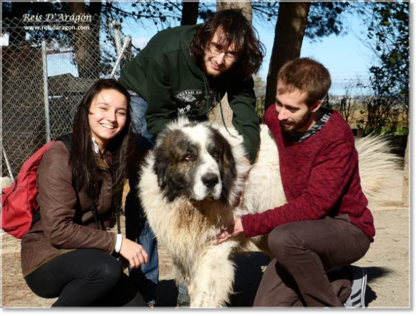 Colaboración con estudiantes de la Facultad de Veterinaria de Zaragoza